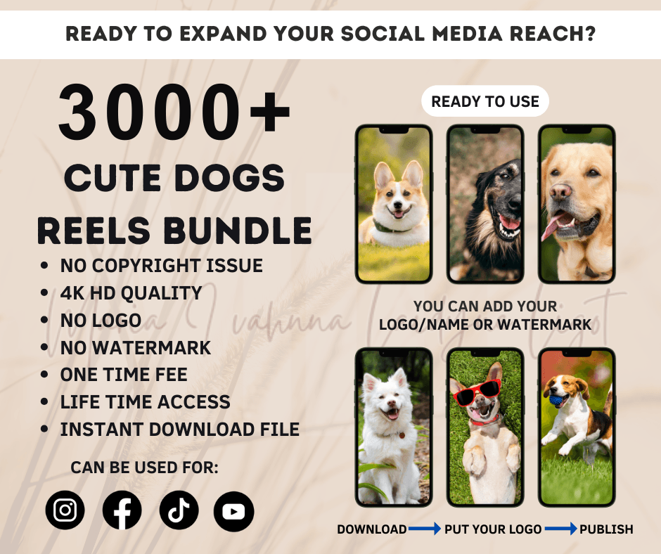 50,000 REELS BUNDLES