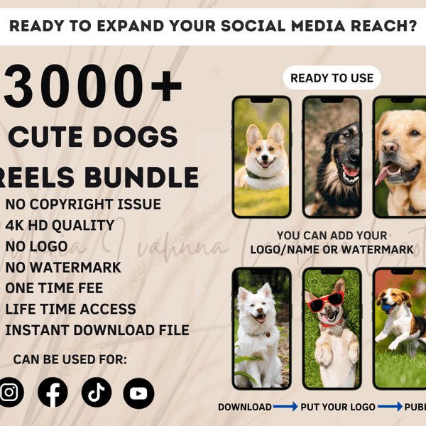 50,000 REELS BUNDLES